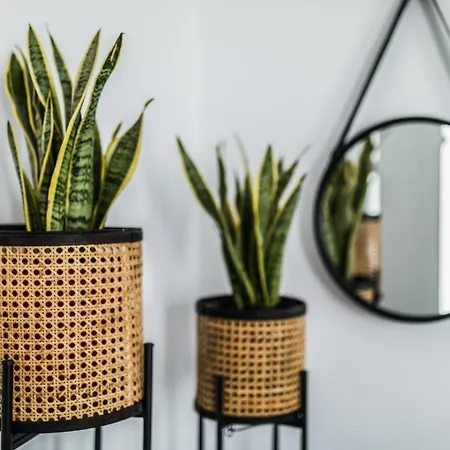 Ξενοδοχείο Naxian Secret 3*