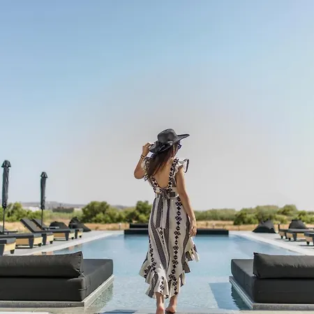 Naxian Secret Ξενοδοχείο