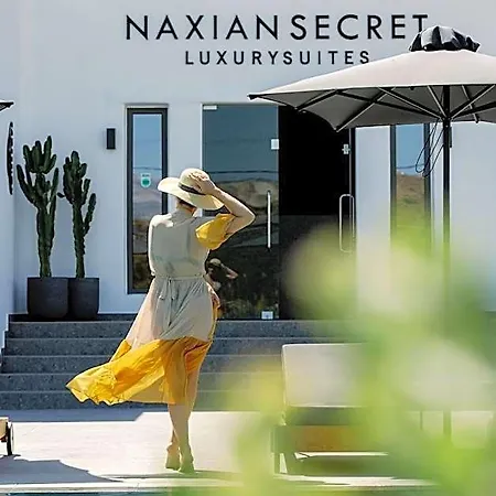 Naxian Secret Ξενοδοχείο Naxos City